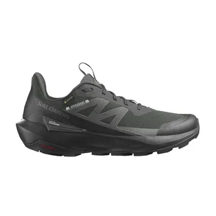 Кроссовки мужские Salomon Elixir Activ Gore-Tex Black L47456100