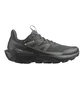 Кросівки чоловічі Salomon Elixir Activ Gore-Tex Black L47456100