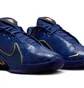 Кроссовки мужские Nike Lebron Xxii Blue HV5145-400