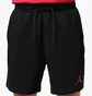 Шорты мужские Air Jordan Jumpman Fleece Black IR0335-010