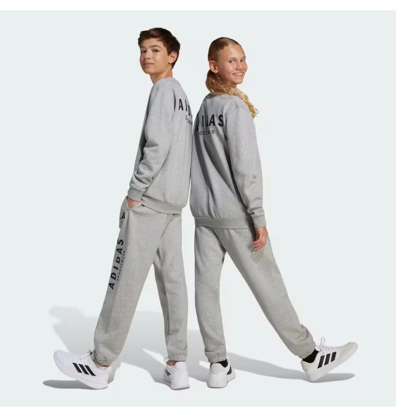 ᐉ Свитшот детский Adidas All Szn Graphic Grey JC7642 - купить в