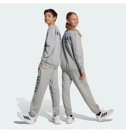 Свитшот детский Adidas All Szn Graphic Grey JC7642