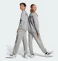 Свитшот детский Adidas All Szn Graphic Grey JC7642