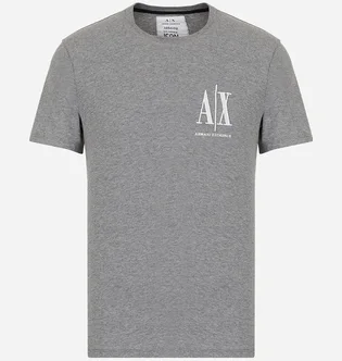 Футболка мужская Armani Exchange Icon Logo Regular Fit T-Shirt Grey 8NZTPHZJH4Z13930