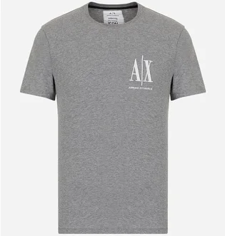 Футболка мужская Armani Exchange Icon Logo Regular Fit T-Shirt Grey 8NZTPHZJH4Z13930