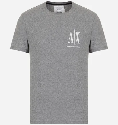 Футболка чоловіча Armani Exchange Icon Logo Regular Fit T-Shirt Grey 8NZTPHZJH4Z13930