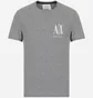 Футболка чоловіча Armani Exchange Icon Logo Regular Fit T-Shirt Grey 8NZTPHZJH4Z13930