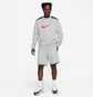 Світшот чоловічий Nike Nsw Sp Flc Crew Bb Grey FN0245-064