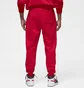 Штани чоловічі Air Jordan Essential Fleece Pants Red FJ7779-687