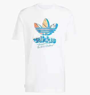 Футболка чоловіча Adidas Originals White JD0708
