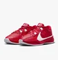 Кросівки унісекс Nike Freak 5 (Team) Basketball Shoes Red DZ2946-600