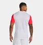 Футболка мужская Nike Dry Tiempo Premier Ii White DH8035-101