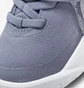 Кросівки дитячі Nike Team Hustle D 10 Dream (Td) Grey Dd0792-410