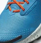 Кросівки чоловічі Nike Pegasus Trail 3 Light Blue Da8697-400