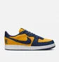 Кросівки чоловічі NIKE Terminator Low Og Blue/Yellow FJ4206-700