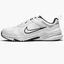 Кросівки чоловічі Nike Defy All Day White DM7564-100