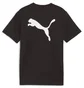 Футболка детская Puma Teamrise Logo Black 658702-03