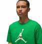 Футболка женская Air Jordan Lucky Green FJ2510-310