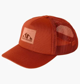 Кепка унисекс Helly Hansen Trucker Cap Orange 67435-179