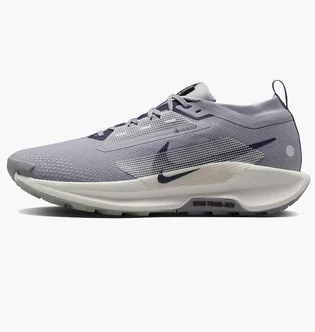 Кроссовки мужские Nike Pegasus Trail 5 Gtx Grey FQ0908-006