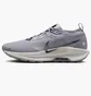 Кроссовки мужские Nike Pegasus Trail 5 Gtx Grey FQ0908-006
