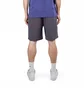 Шорты мужские Snow Peak Breathable Quick Dry Shorts Grey PA-23SU021AS