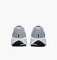 Кросівки чоловічі Nike Downshifter 13 Grey FD6454-015