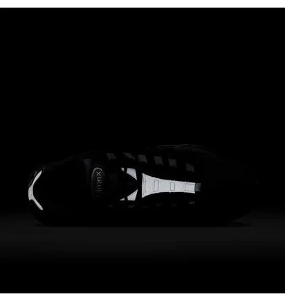 Кроссовки мужские Nike Air Max 95 Black FV4710-003