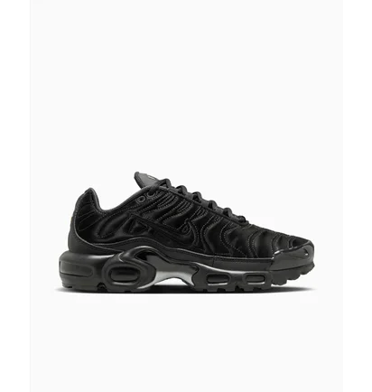 Кросівки жіночі Nike Air Max Plus Black Anthracite Black FV1169-001