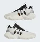 Кроссовки унисекс Adidas Trae Young 3 White IF5592