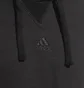 Худи мужское Adidas All Szn French Terry Hoodie Black Ic9758
