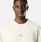 Футболка чоловіча STONE ISLAND Logo Printed Beige L1S152100006S0050-V0093