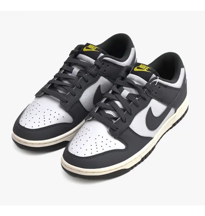 Кроссовки мужские Nike Dunk Low Next Nature Grey/White FZ4621-001