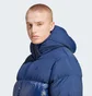 Пуховик чоловічий Adidas Adicolor Down Regen Hooded Puffer Jacket Blue IL2570