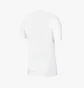 Футболка мужская Air Jordan Winter Utility Mountainside White CZ0400-100