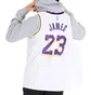 Майка чоловіча Nike Nba Los Angeles Lakers Lebron James Association Edition Swingman White CW3595-101