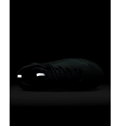 Черевики чоловічі Nike Acg Air Zoom Gaiadome Gore-Tex Green DD2858-300