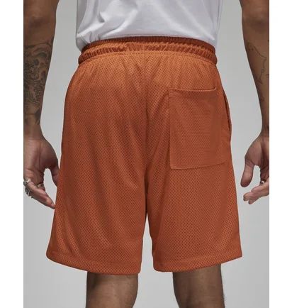 Шорты унисекс Air Jordan Artist Series By Umar Rashid Mesh Shorts Orange DX9720-812
