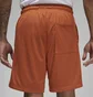 Шорты унисекс Air Jordan Artist Series By Umar Rashid Mesh Shorts Orange DX9720-812