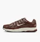 Кросівки жіночі Nike P-6000 Brown BV1021-200