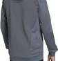 Кофта мужская Adidas Hooded Sweatshirt Tiro23 C Hood Grey HU1347
