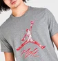 Футболка чоловіча Air Jordan Essentials Jumpman Logo T-Shirt Grey Dq7376-091