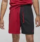 Шорти чоловічі Air Jordan M J Df Sprt Bc Mesh Gfx Short Red/Black Dm1815-687
