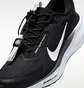 Кросівки чоловічі Nike Pegasus Easyon Black FQ7837-002