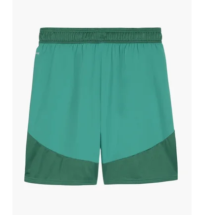 Шорты мужские Puma Teamfinal Short F05 Green 705743-05