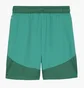 Шорты мужские Puma Teamfinal Short F05 Green 705743-05