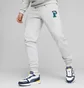 Штаны мужские Puma Squad Sweatpants Grey 676019-04