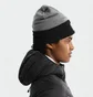 Шапка унісекс Arc'teryx Color Block Grey X00000993105