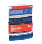 Трусы мужские Puma Worldhood Stripe Trunk Blue/Grey (2 шт) 501004001-010