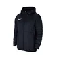 Куртка чоловіча Nike M Nk Thrm Rpl Park20 Fall Jkt Blue CW6157-451